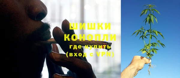 герыч Козельск