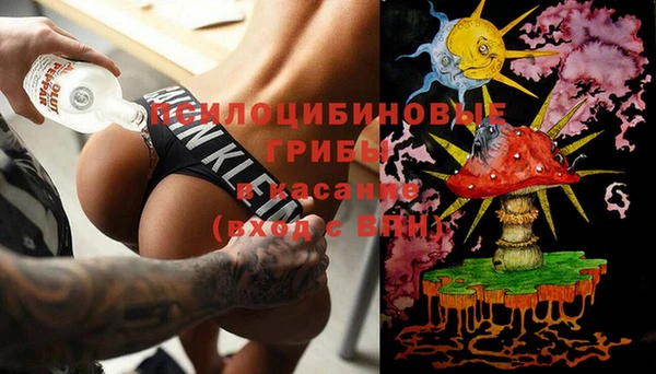 герыч Козельск