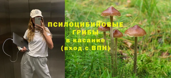 герыч Козельск
