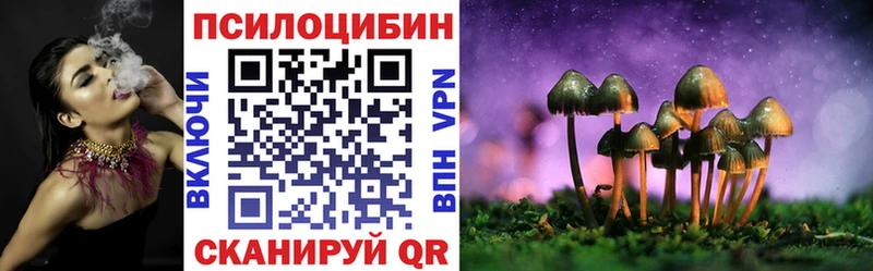мориарти телеграм  Краснодар  Галлюциногенные грибы Magic Shrooms 